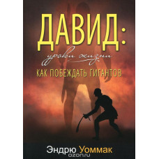 Давид: уроки жизни. Как победить гигантов Эндрю Уоммак